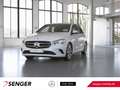 Mercedes-Benz B 250 e Style Sitzheizung Tempomat Business-Pak. Bianco - thumbnail 1