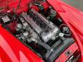 Jaguar XK 150 3,8 SERVO HU 02/2028 Rot - thumbnail 16