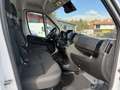 Citroen Jumper 35 2.2 BlueHDi Heavy L4H2 3,5t Weiß - thumbnail 9