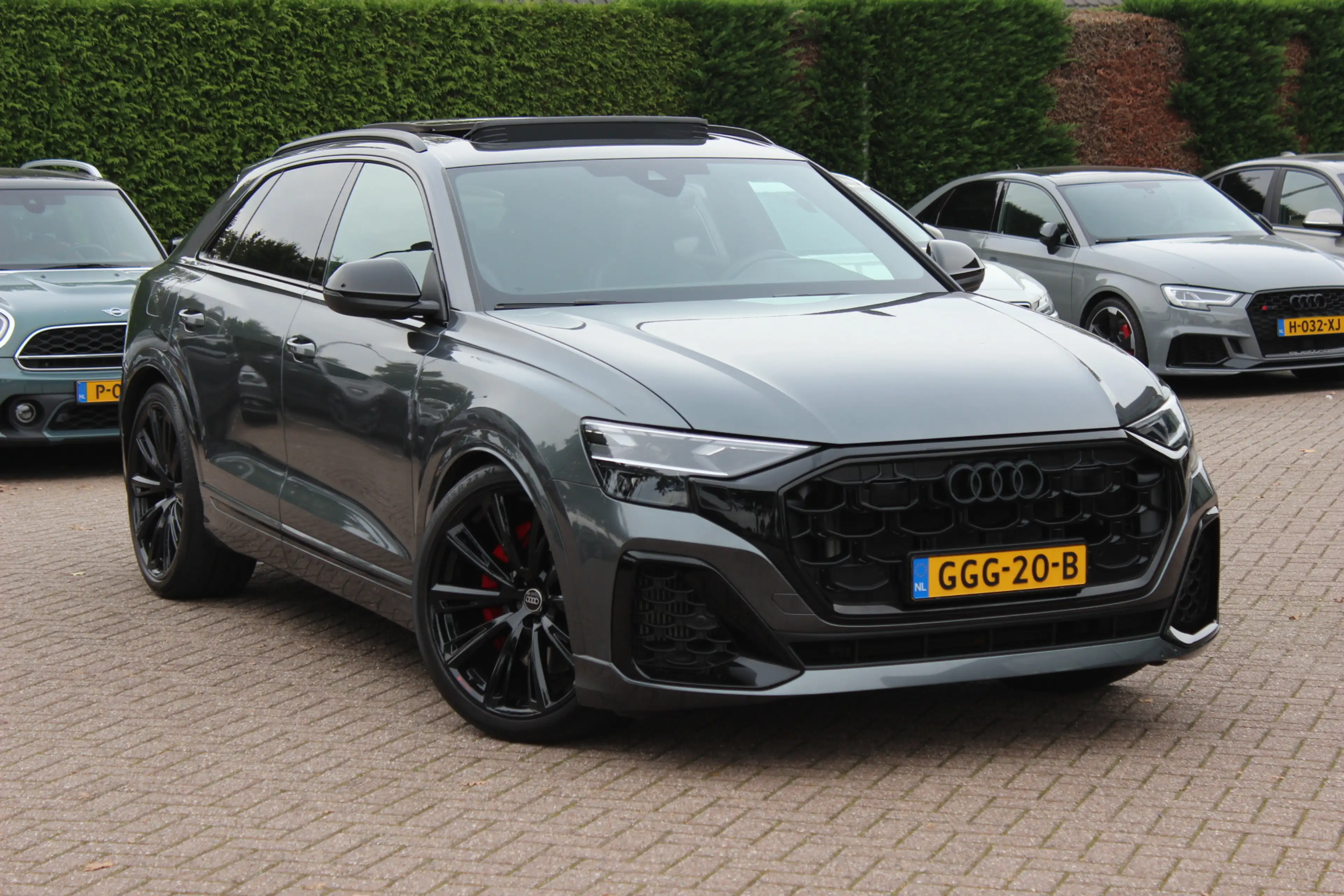 Audi Q8 60 TFSI e quattro Pro Line S Competition / Trekhaa — photo 44