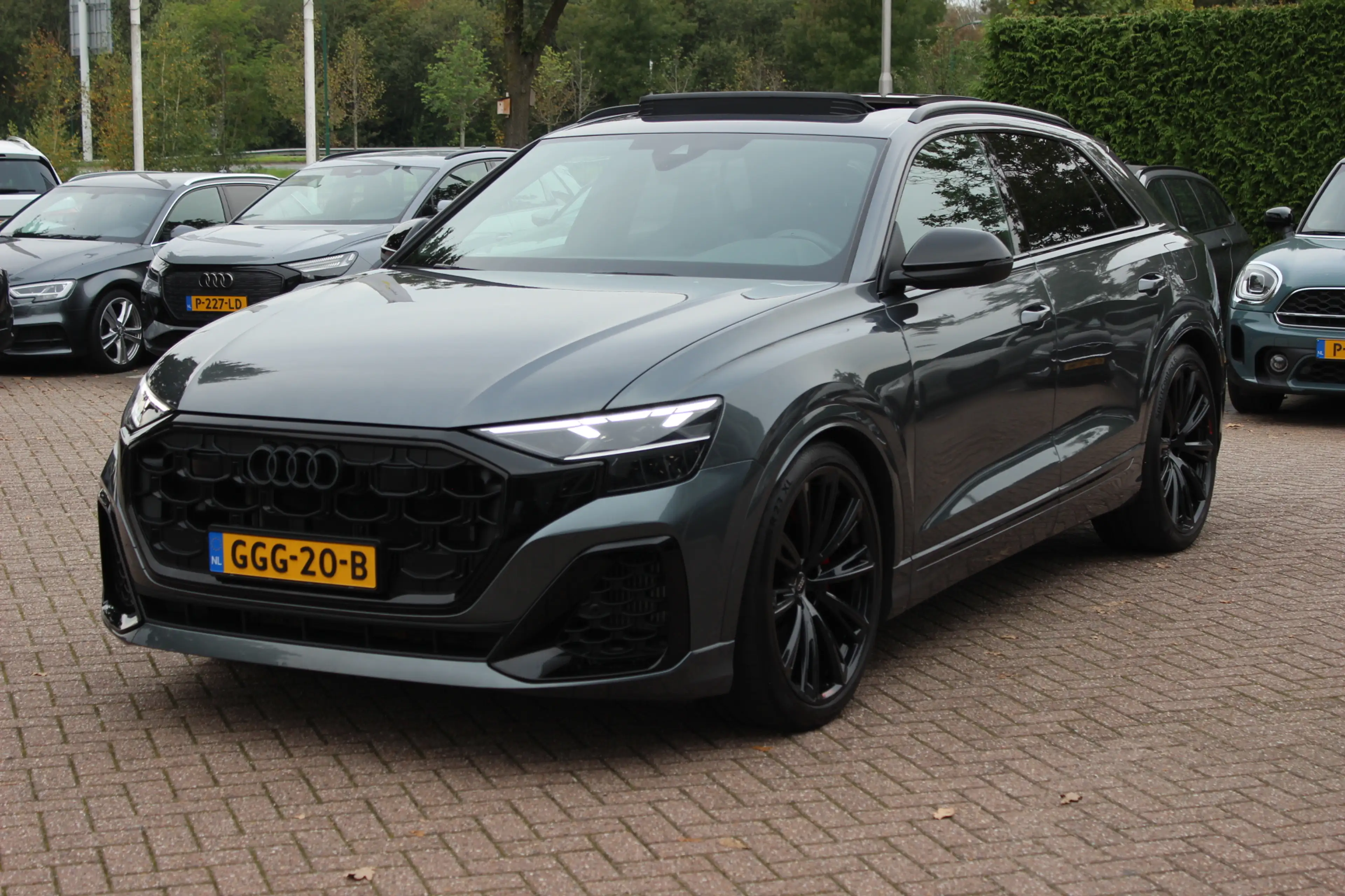 Audi Q8 60 TFSI e quattro Pro Line S Competition / Trekhaa — photo 6