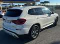 BMW X3 X3 xdrive20d xLine 190cv *TAGLIANDI* Alb - thumbnail 9