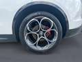 Alfa Romeo Stelvio 2.2 Turbodiesel 210 CV AT8 Q4 Veloce Blanc - thumbnail 5