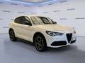 Alfa Romeo Stelvio 2.2 Turbodiesel 210 CV AT8 Q4 Veloce Blanc - thumbnail 2