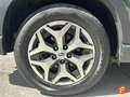 Subaru Forester 2.0i Hybrid Executive Plus CVT Verde - thumbnail 10