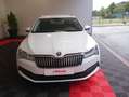 Skoda 1.5 TSI 150 ACT DSG7 BUSINESS Alb - thumbnail 2
