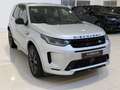 Land Rover Discovery Sport P300e 1.5 R-Dynamic SE Grau - thumbnail 16