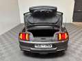 Ford Mustang 2.3 Convertible Premium *LED-Kamera* Grau - thumbnail 14
