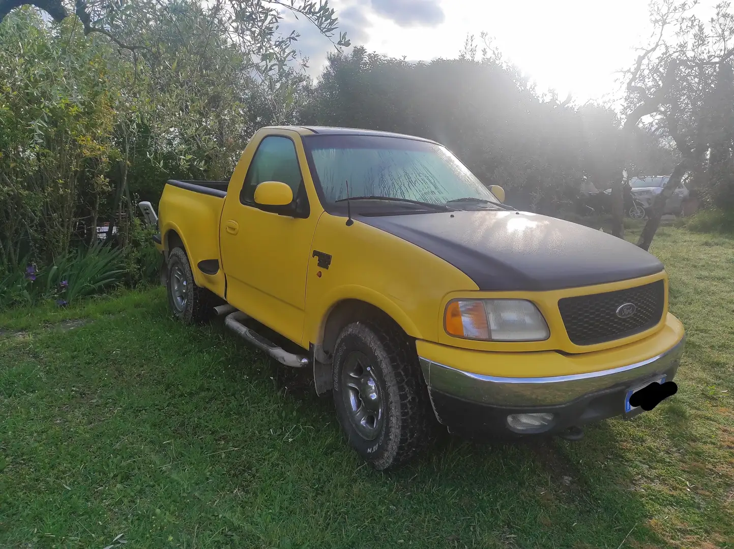 Ford F 150 Yellow - 1