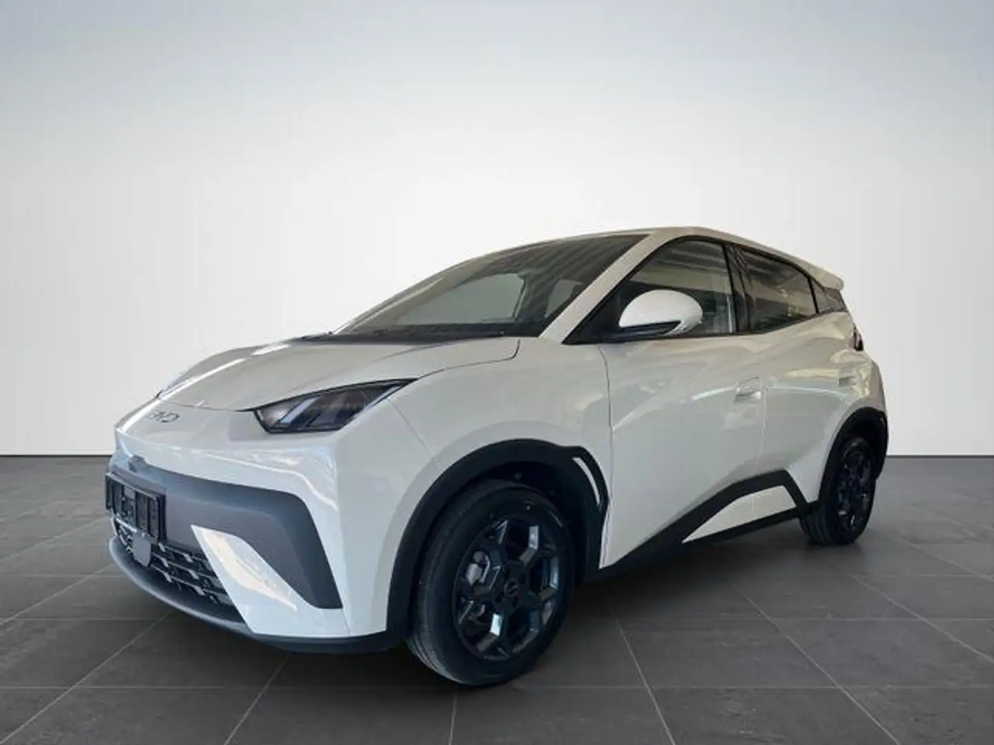 BYD Dolphin SURF Comfort/ACC/LEDER/360°/SHZ/NAV/ 115 kW (15... Weiß - 1