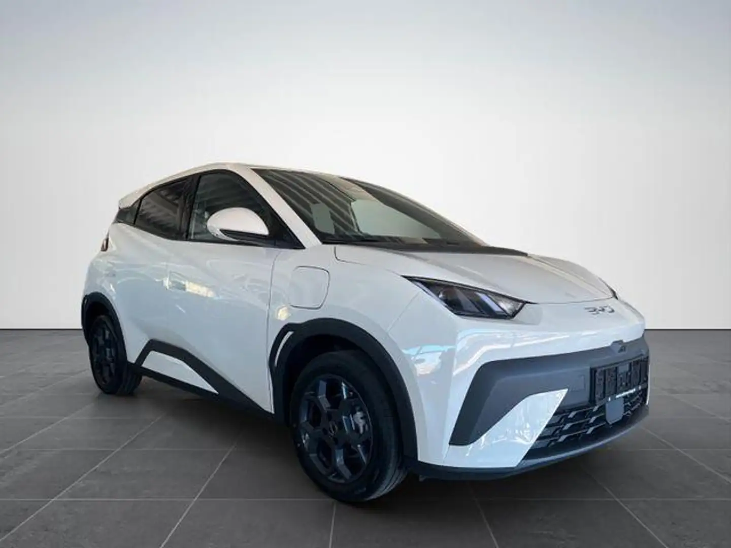 BYD Dolphin SURF Comfort/ACC/LEDER/360°/SHZ/NAV/ 115 kW (15... Weiß - 2