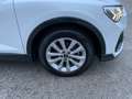 Audi Q3 Q3 SPB 35 TDI Business Plus Weiß - thumbnail 3