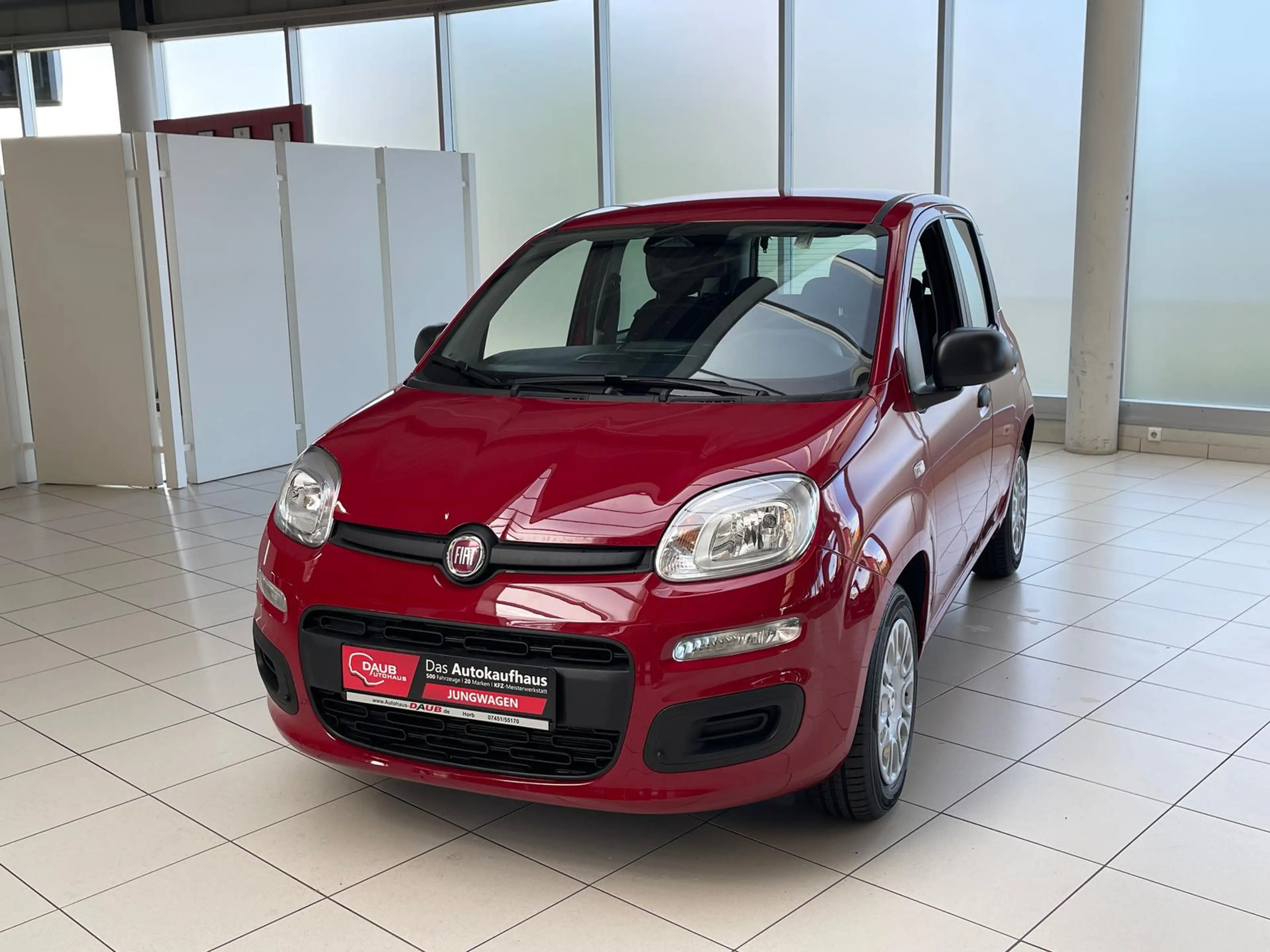 Fiat Panda 1.0 Mild Hybrid Pandina Pop+Klima+PDC hi.+ — photo 2