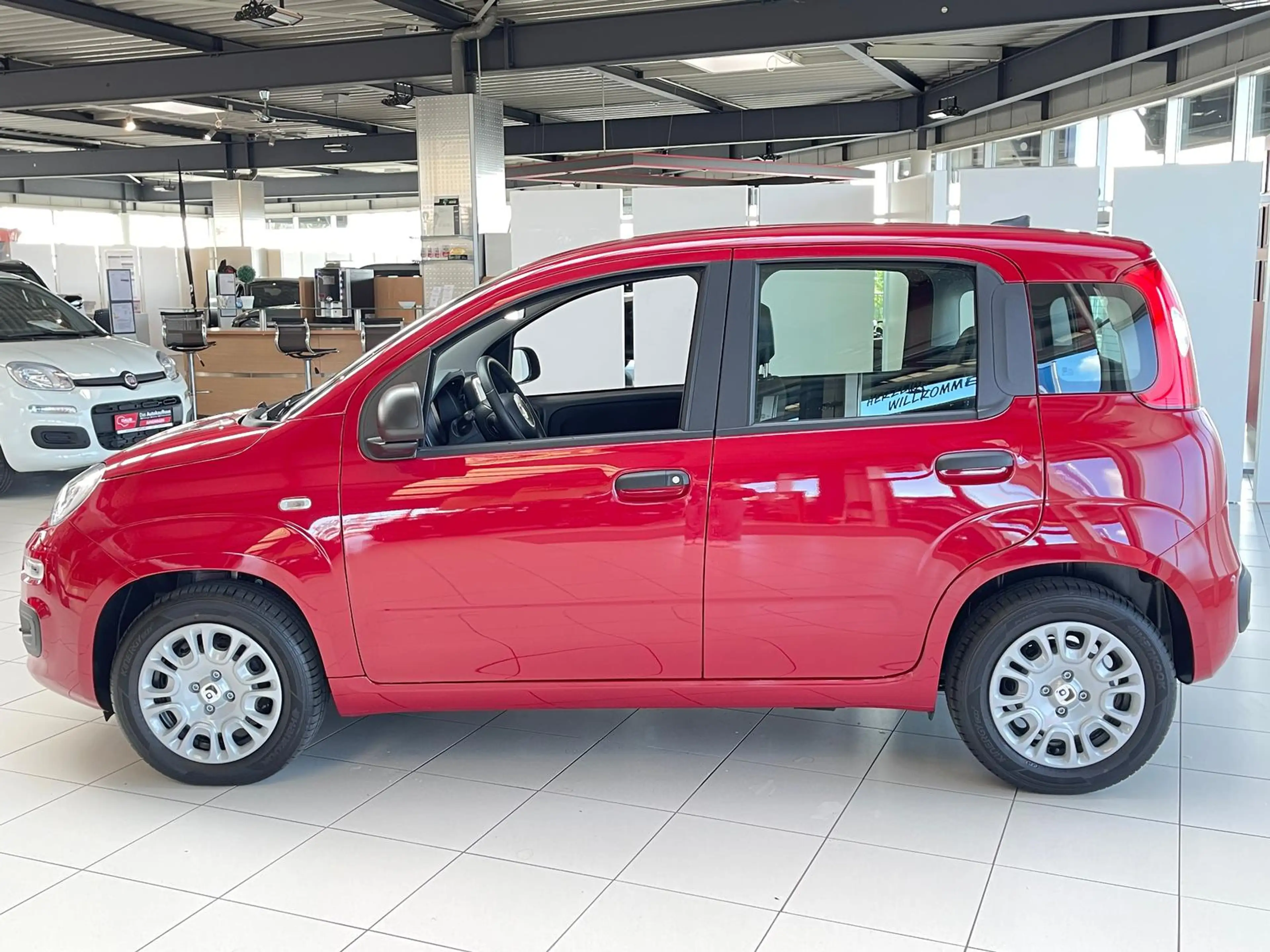 Fiat Panda 1.0 Mild Hybrid Pandina Pop+Klima+PDC hi.+ — photo 3