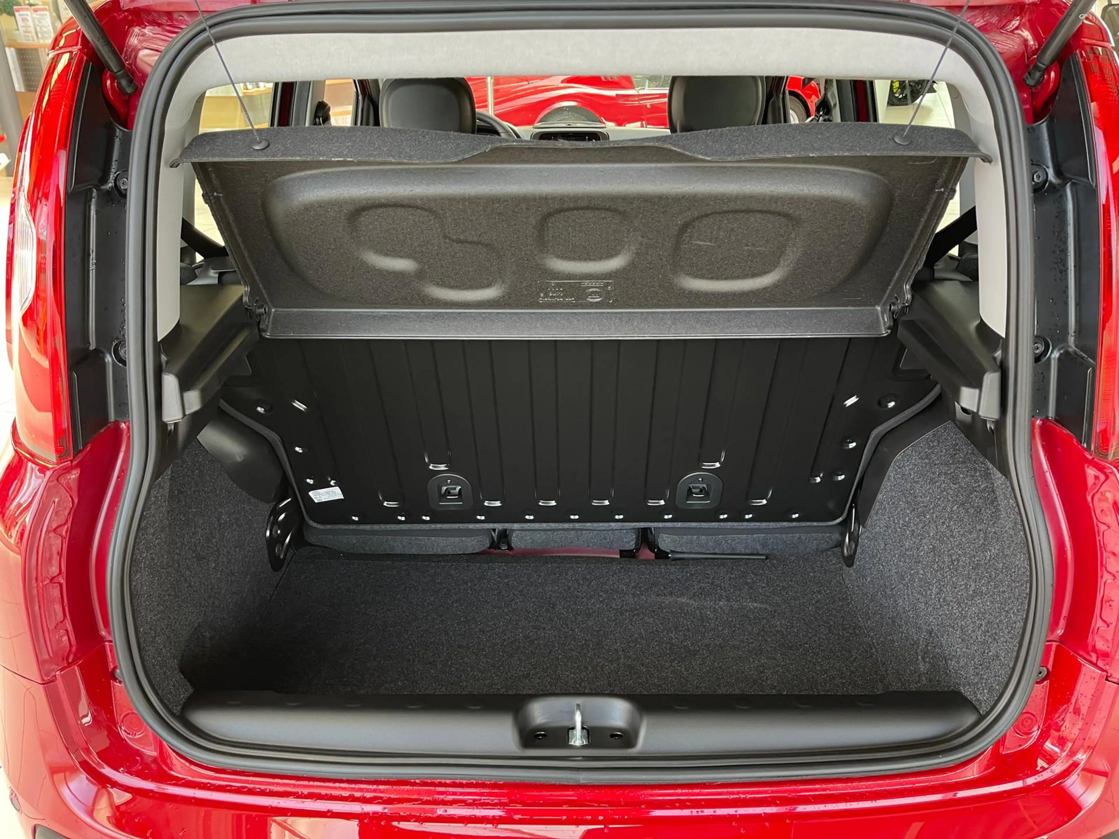 Fiat Panda 1.0 Mild Hybrid Pandina Pop+Klima+PDC hi.+ — photo 15