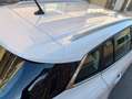 Renault Megane Mégane+S.T.+1.5dCi+Blue+Business+85kW+Business - thumbnail 6