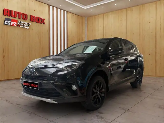 Toyota Autres RAV4 Team D