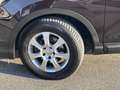 Nissan Qashqai 1,6 dCi Tekna Aut. Violett - thumbnail 16