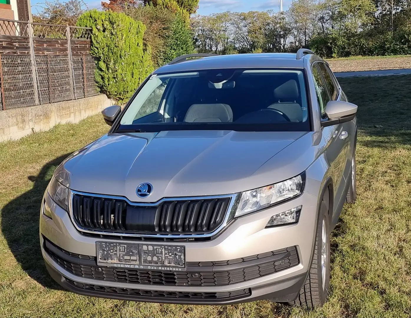 Skoda Kodiaq Kodiaq 2,0 TDI SCR Ambition Limited DSG Ambition Limited Bronze - 2