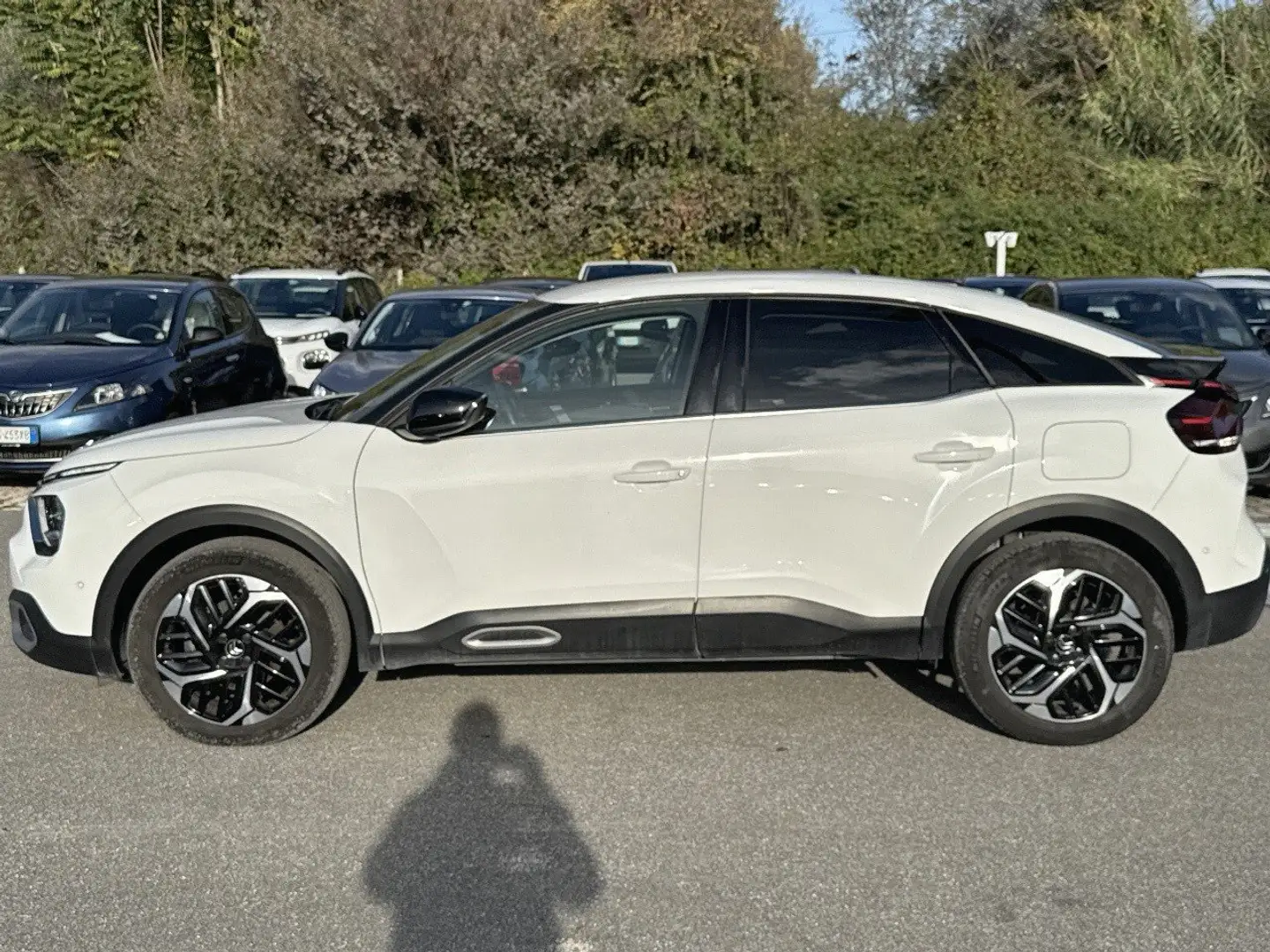 Citroen C4 BlueHDi 130 S&S Shine EAT8 Blanc - 2