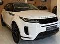 Land Rover Range Rover Evoque 2.0d i4 mhev Business Edition awd 150cv auto Wit - thumbnail 2