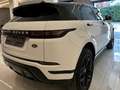 Land Rover Range Rover Evoque 2.0d i4 mhev Business Edition awd 150cv auto Wit - thumbnail 6