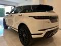 Land Rover Range Rover Evoque 2.0d i4 mhev Business Edition awd 150cv auto Wit - thumbnail 5