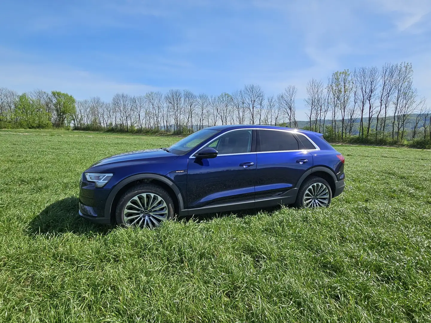 Audi SQ8 e-tron e tron 55 Business Blau - 1