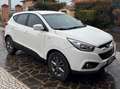 Hyundai iX35 ix35 1.7 crdi Comfort 2wd FL Bianco - thumbnail 1