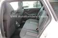 Skoda Kamiq 1.5 TSI DSG Monte Carlo *5J.Garantie*AHK* Silber - thumbnail 9
