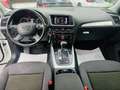 Audi Q5 2.0 TFSI quattro Advanced Ed. Tip. 225 Weiß - thumbnail 13