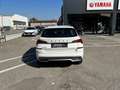 Skoda Kamiq Kamiq 1.0 TSI Ambition Bianco - thumbnail 5