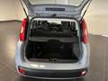 Fiat Panda Panda 1.2  NEOPATENTATI 69CV GARANZIA P.CONSEGNA Grigio - thumbnail 19