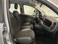 Fiat Panda Panda 1.2  NEOPATENTATI 69CV GARANZIA P.CONSEGNA Grigio - thumbnail 16