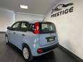 Fiat Panda Panda 1.2  NEOPATENTATI 69CV GARANZIA P.CONSEGNA Grigio - thumbnail 7