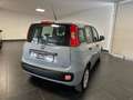 Fiat Panda Panda 1.2  NEOPATENTATI 69CV GARANZIA P.CONSEGNA Grigio - thumbnail 9