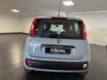 Fiat Panda Panda 1.2  NEOPATENTATI 69CV GARANZIA P.CONSEGNA Grigio - thumbnail 8