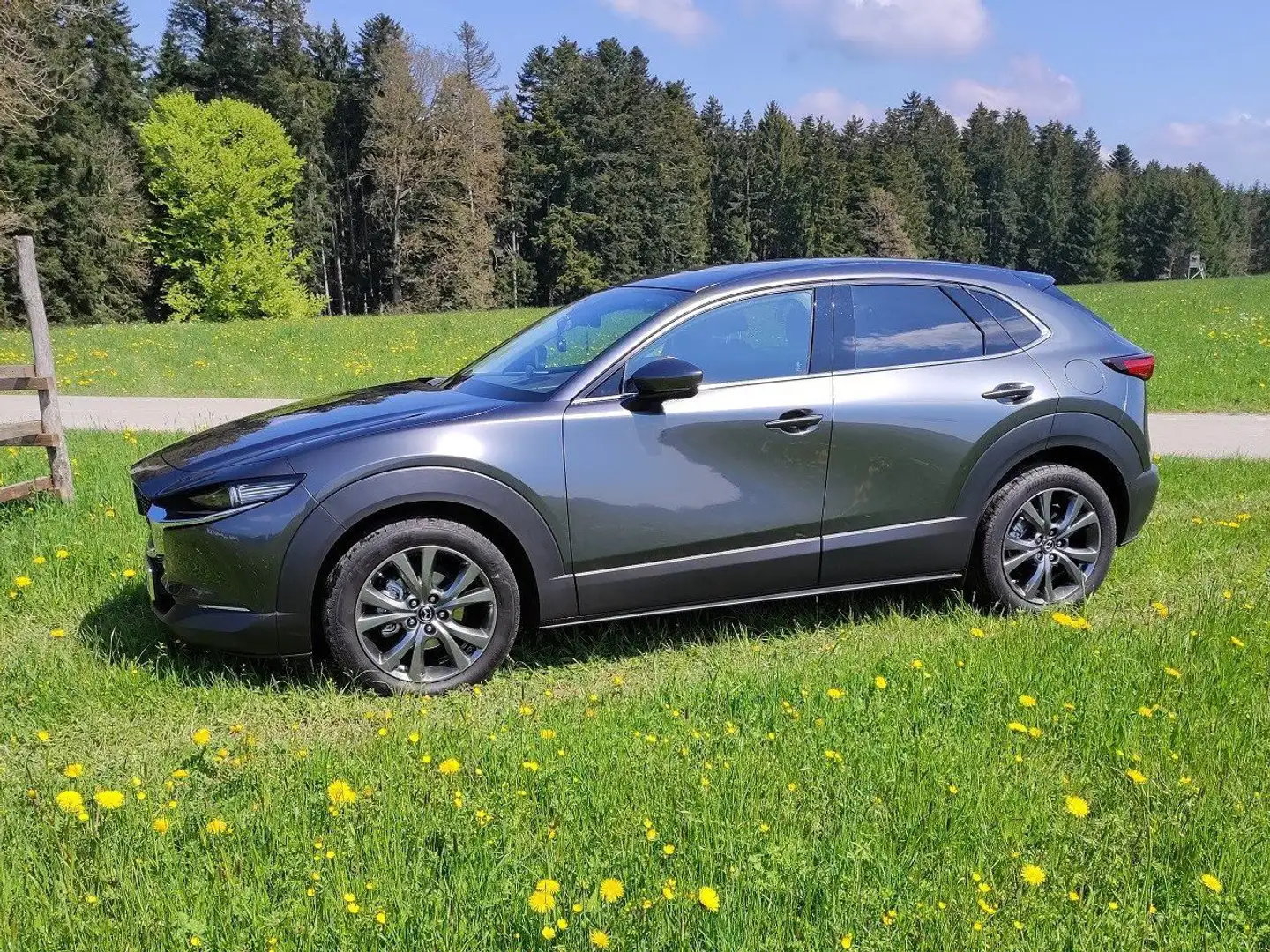 Mazda CX-30 CX-30 SKYACTIV-X 2.0 M-Hybrid AWD Aut. SELECTION Grau - 2