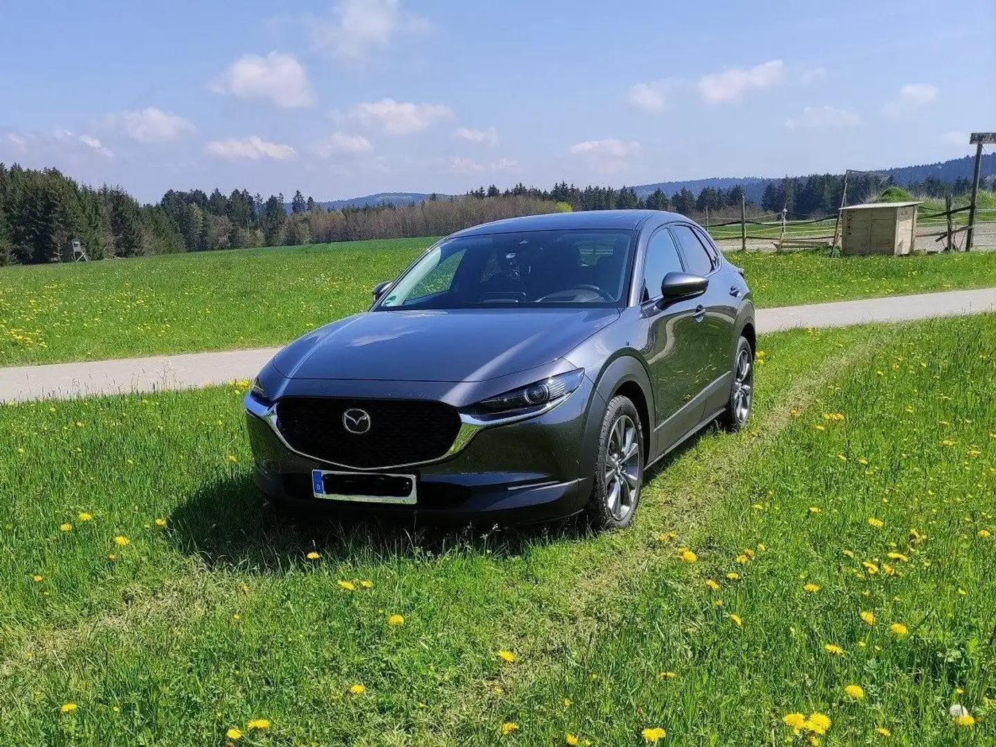 Mazda CX-30 CX-30 SKYACTIV-X 2.0 M-Hybrid AWD Aut. SELECTION Grau - 1