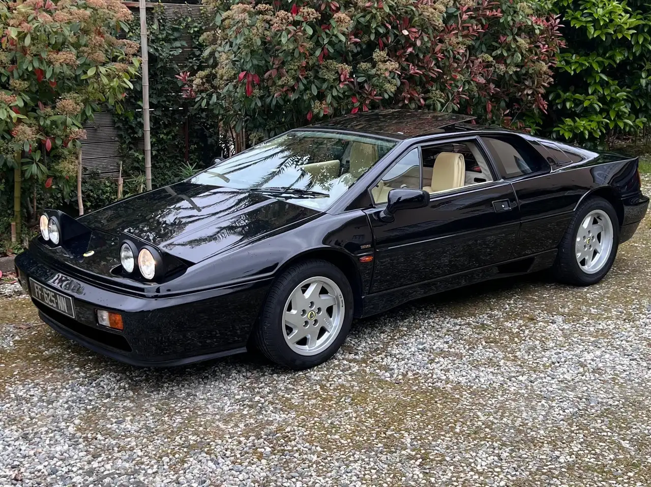 Lotus Esprit Tbo 16V, foto 11