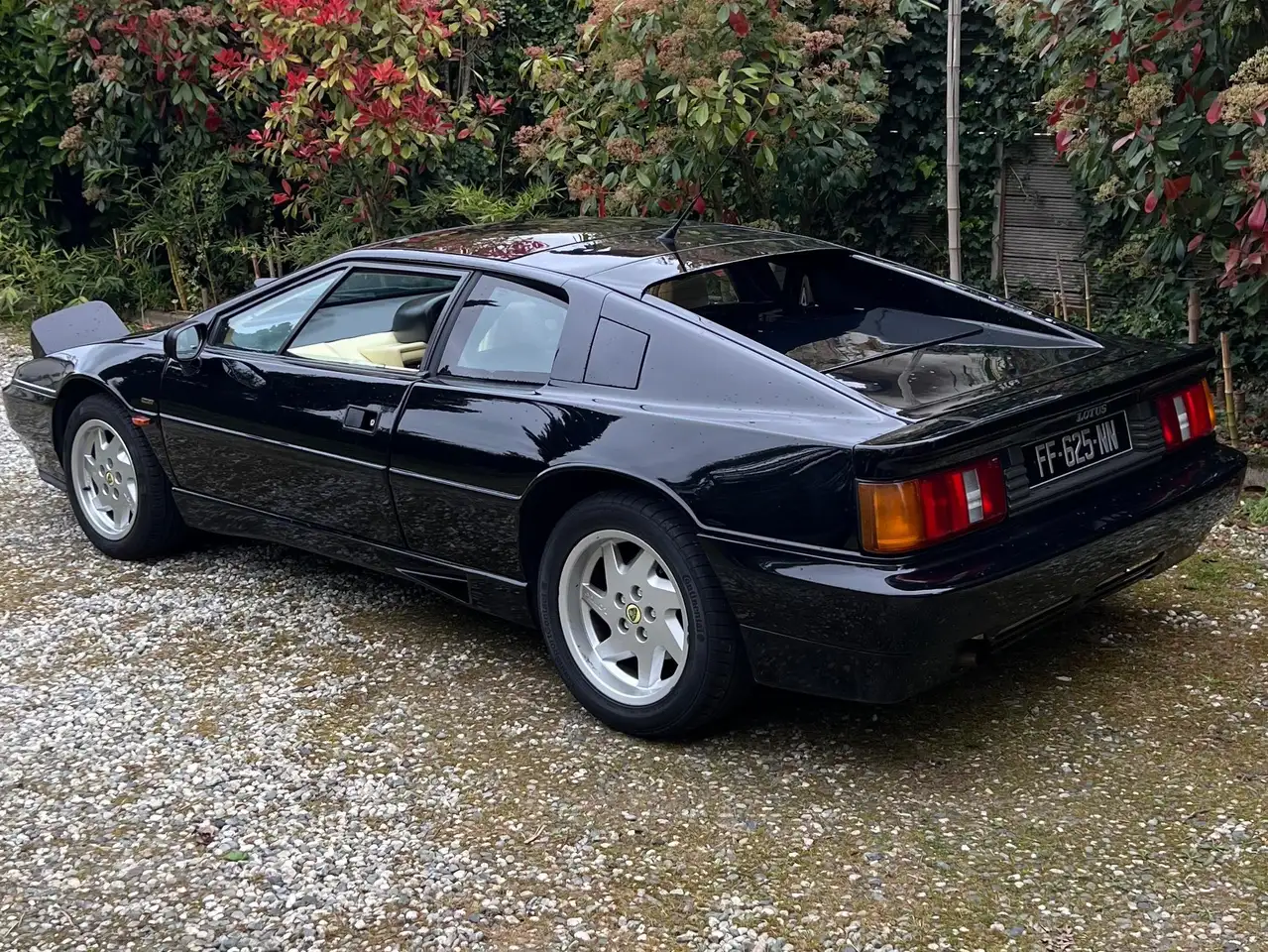 Lotus Esprit Tbo 16V, foto 4