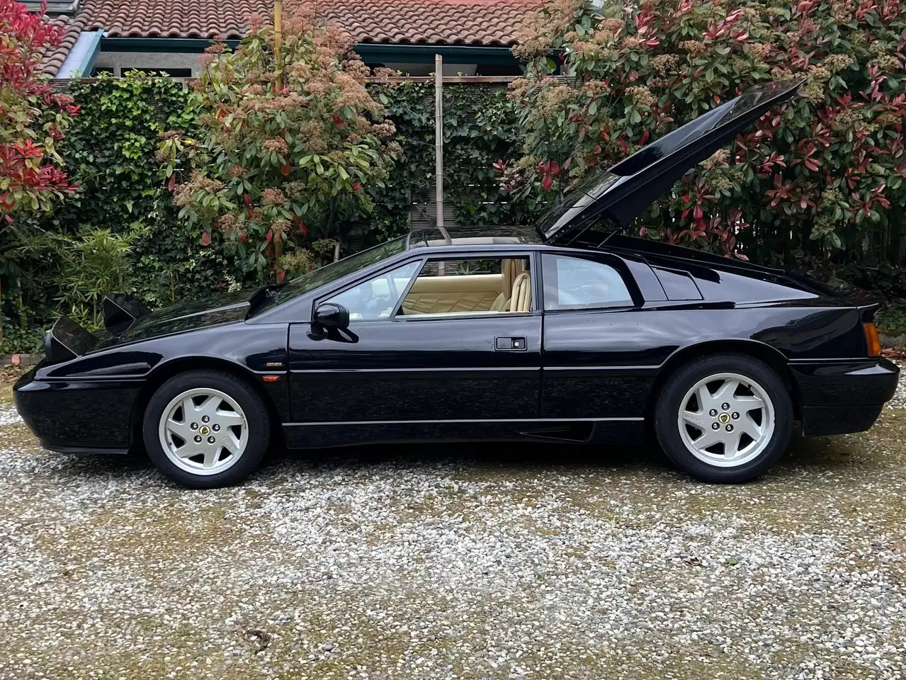 Lotus Esprit Tbo 16V, foto 10