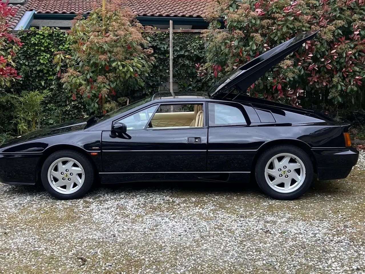 Lotus Esprit Tbo 16V, foto 9