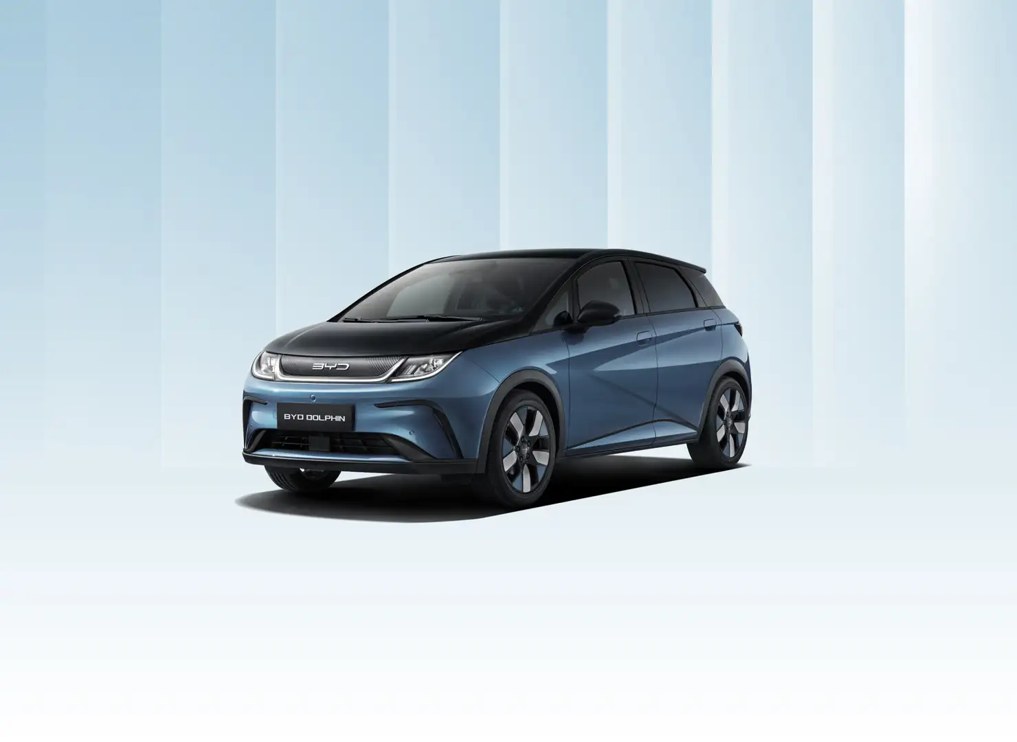 BYD Dolphin Design Nero - 1