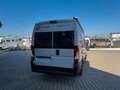 Challenger V210 Hubbett, Autom., ab 357,00€ mtl. Gris - thumbnail 10