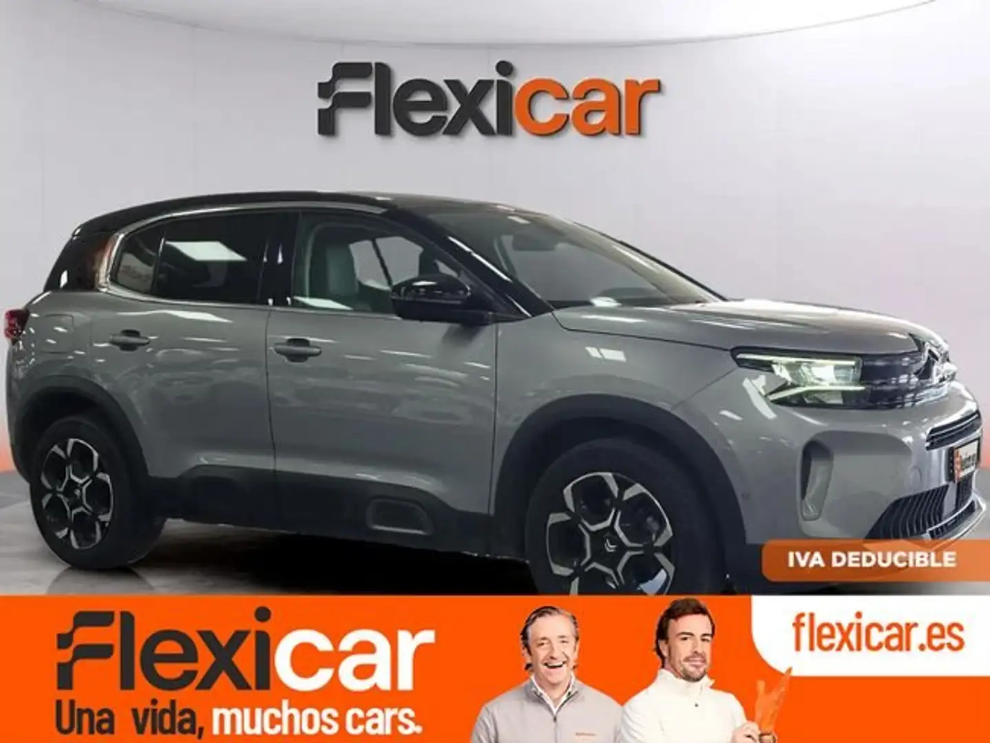 Citroen C5 Aircross BlueHDi S&S Max EAT8 130 Gris - 1