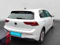 Volkswagen Golf 1.0 TSI NAVI ALU GANZJAHRESREIFEN Bianco - thumbnail 3