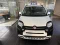 Fiat Panda 1.0 Firefly Hybrid S&S 70cv Pandina - Km Zero Bianco - thumbnail 2