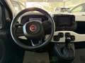 Fiat Panda 1.0 Firefly Hybrid S&S 70cv Pandina - Km Zero Bianco - thumbnail 11