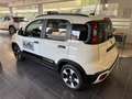 Fiat Panda 1.0 Firefly Hybrid S&S 70cv Pandina - Km Zero Bianco - thumbnail 5